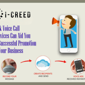 Auto Voice Call Service